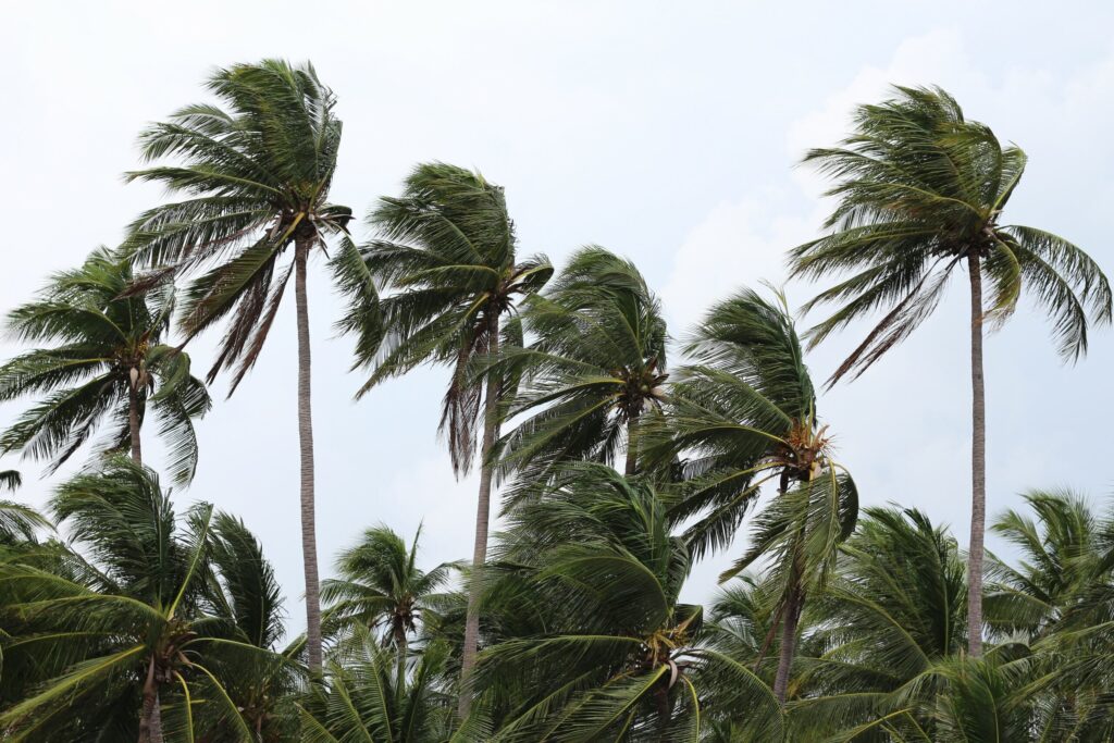 台風シーズン