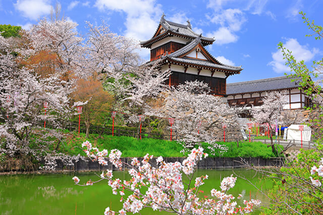 大和郡山市
